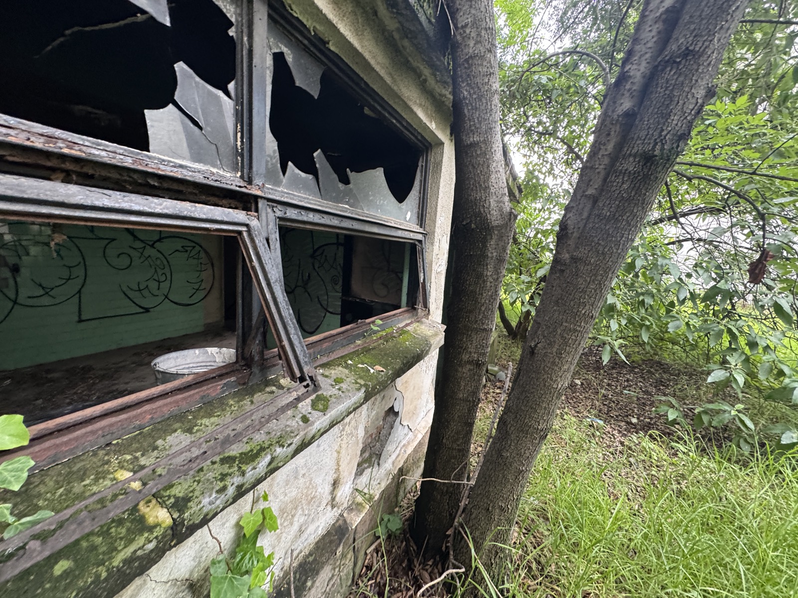 Detalle de ventana exterior