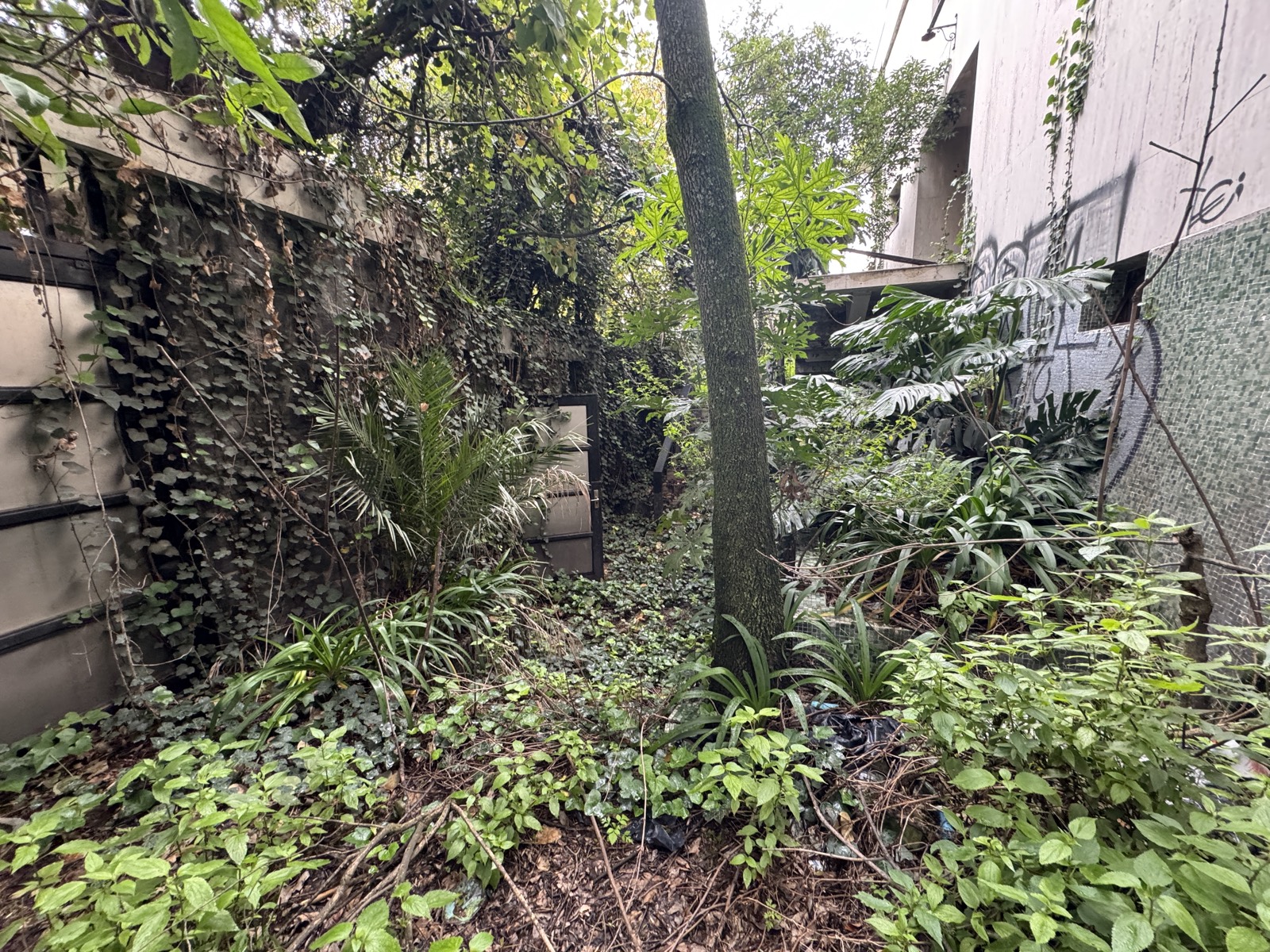 Jardín lateral