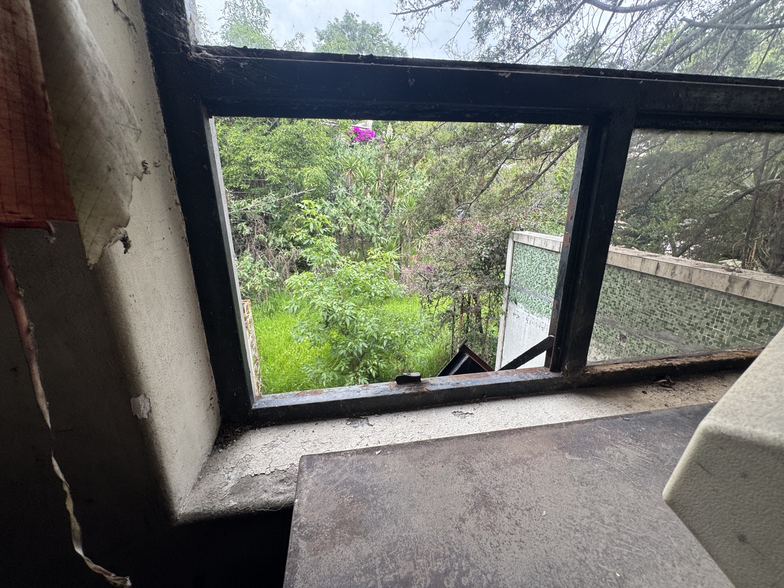 Vista desde ventana hacia el jardín